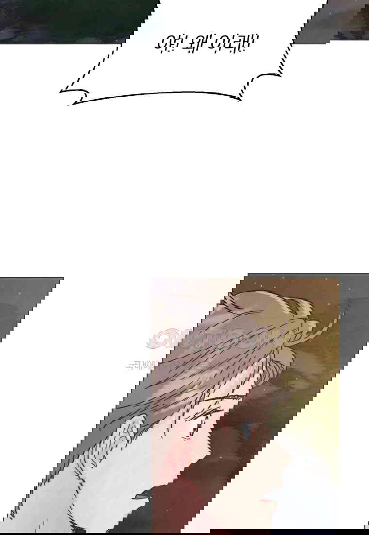 1730237898616veb4kw27tl.jpg