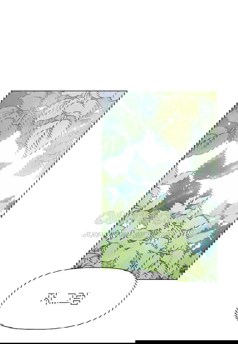 17302379634458gr1oi4bfbv.jpg