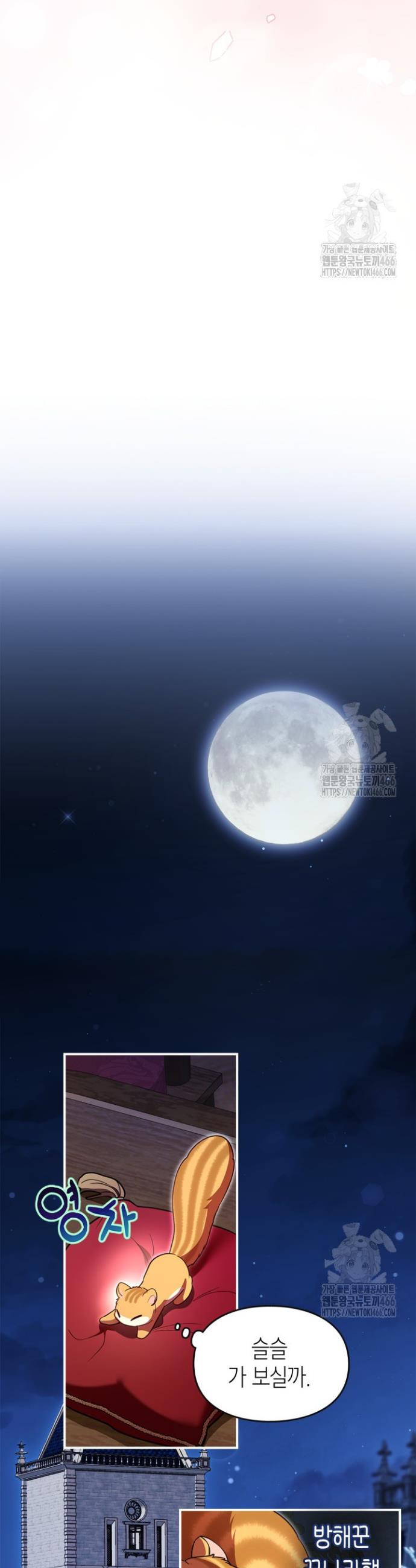 1731801454071mt2xuu14qz.jpg