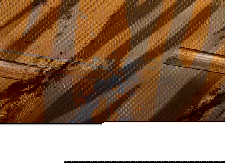 1730500029575uxxou0hhid.jpg