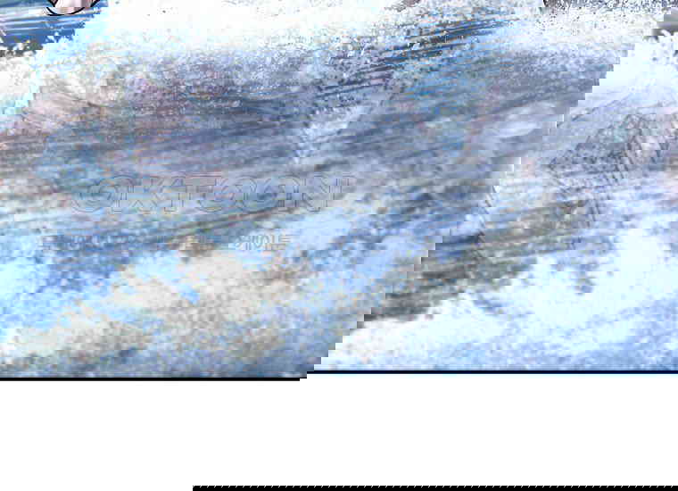 1730500040651cm035rlo9sd.jpg