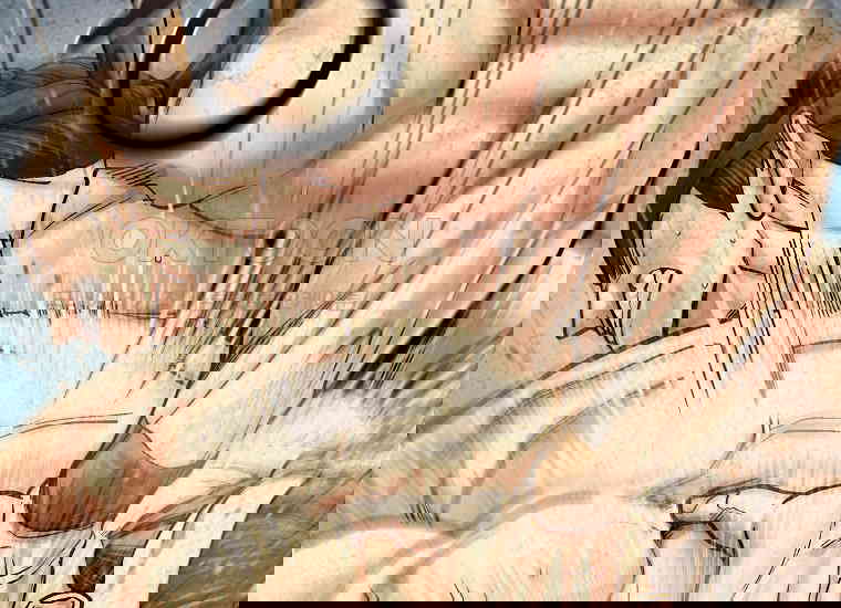 173050004419907lv2674xnz.jpg