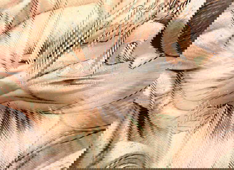 1730500044352uuk70ayxxuc.jpg