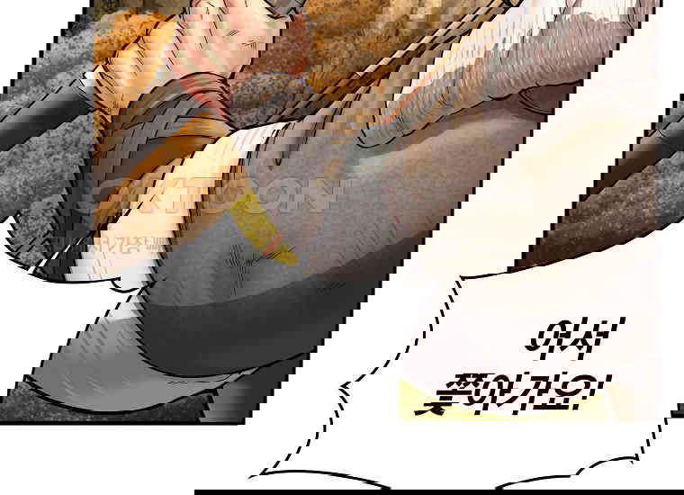 1730500068565ub2y29xnvxg.jpg