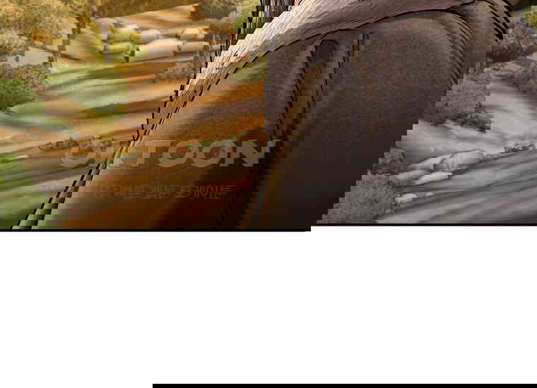 17305000705633bd4fwezrng.jpg