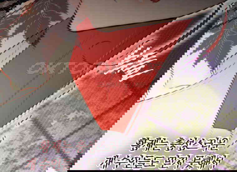 1730557579395ol83ogbmlb.jpg