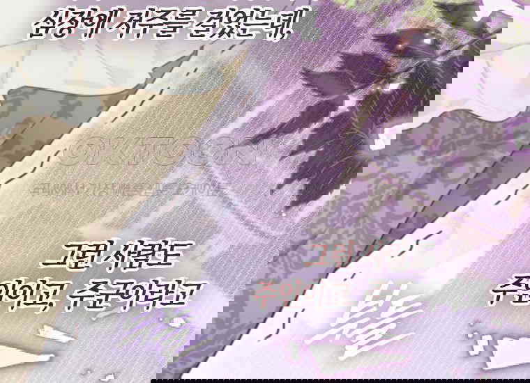 17305575795462z54fc229rl.jpg