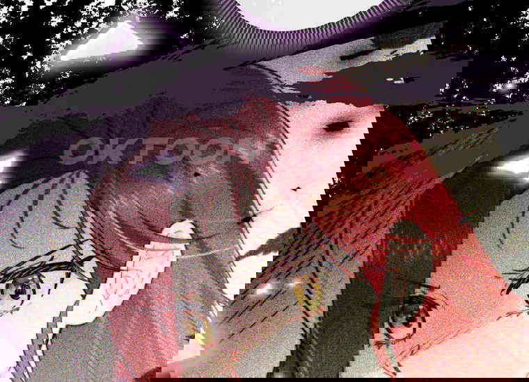 1730557604732avxif3es3ec.jpg