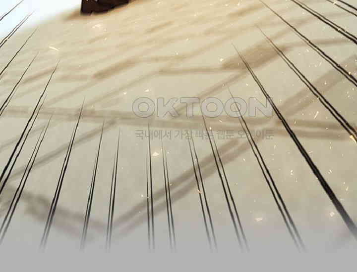 1730501665637yvbbi9et9t.jpg