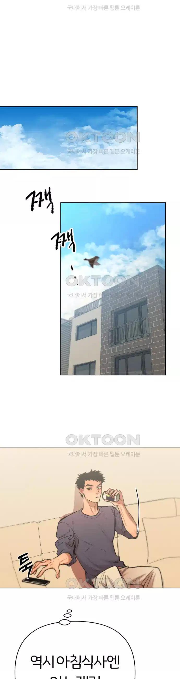 1730503255550ds1ir080wd.jpg