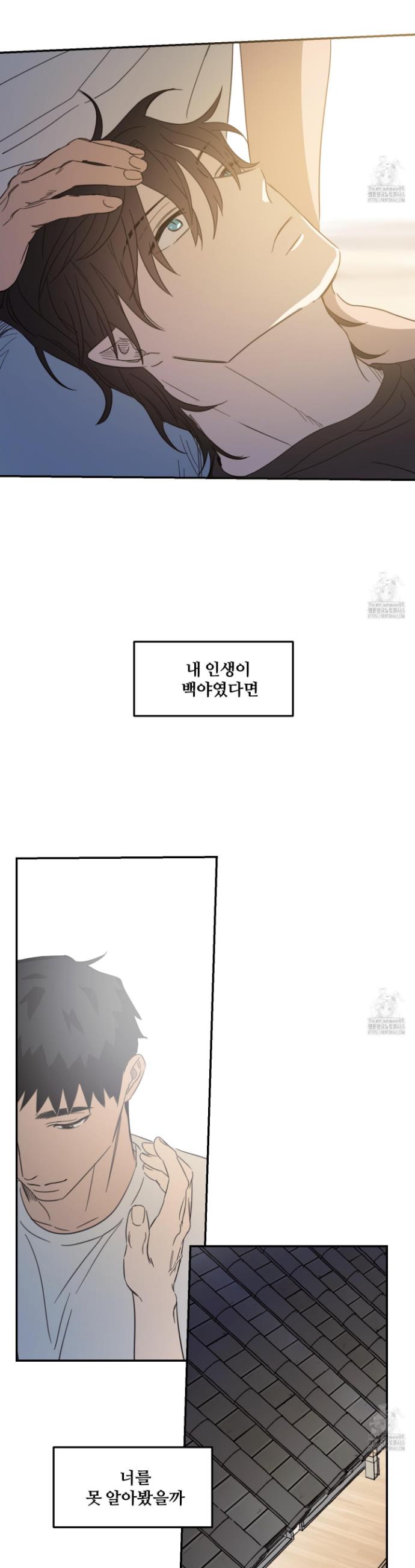 17320628806768uooh0xil75.jpg
