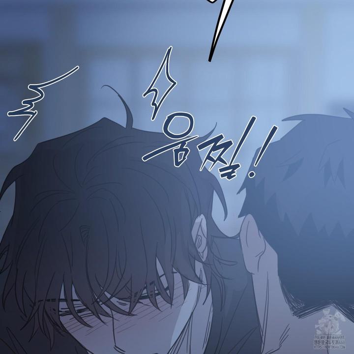1732062898198g2qnphks9yq.jpg