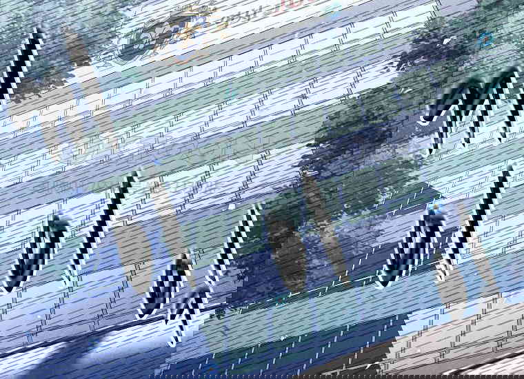 1730747745663iancpleemze.jpg
