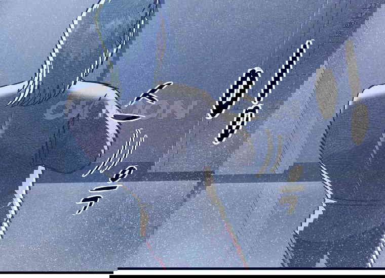 1730747752814xhlp5xl0un.jpg