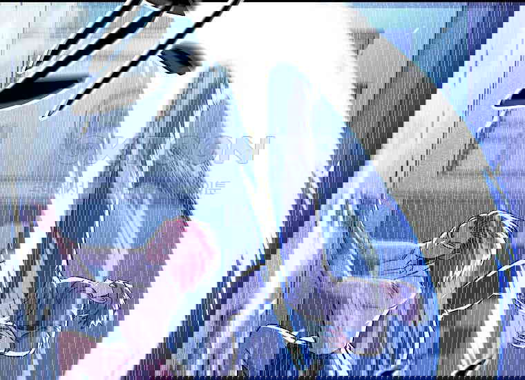 173074776407200lxv1r7lxz.jpg
