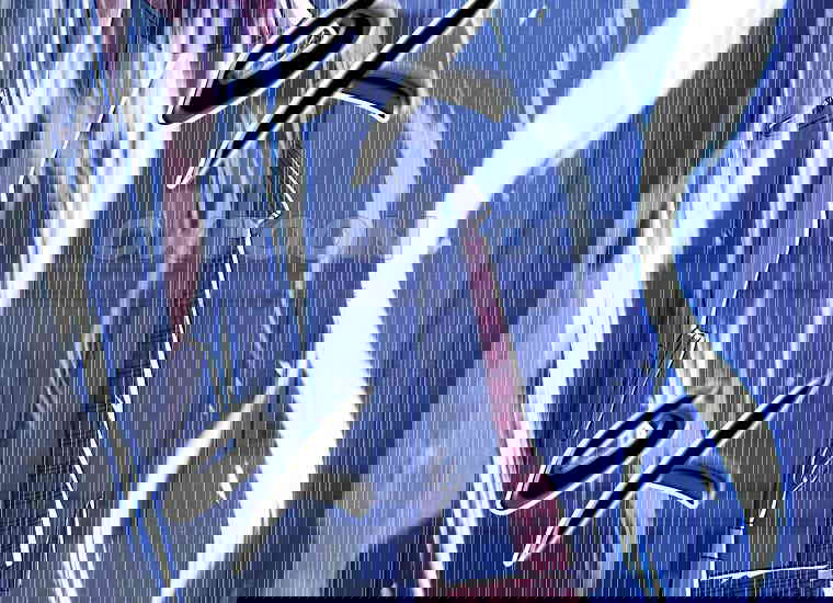 17307477642255b8lskgx6vu.jpg