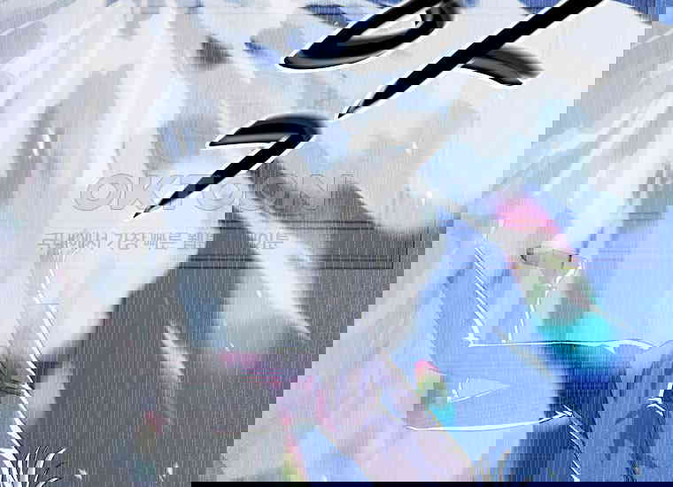 1730747766091auxxs90nq9c.jpg