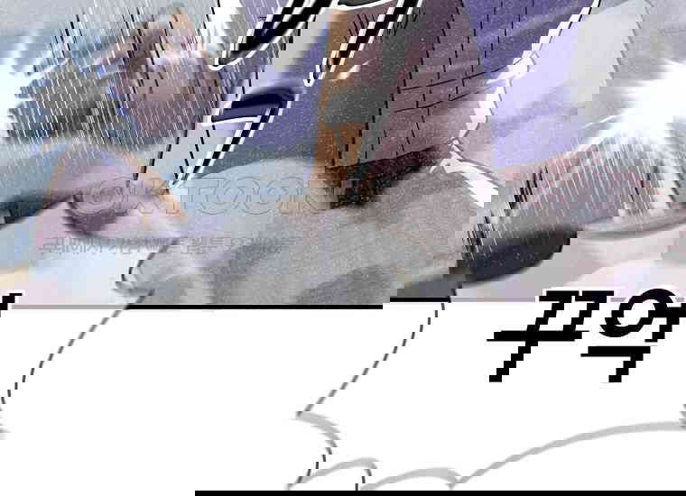 17307477745944jr1g3uadgq.jpg