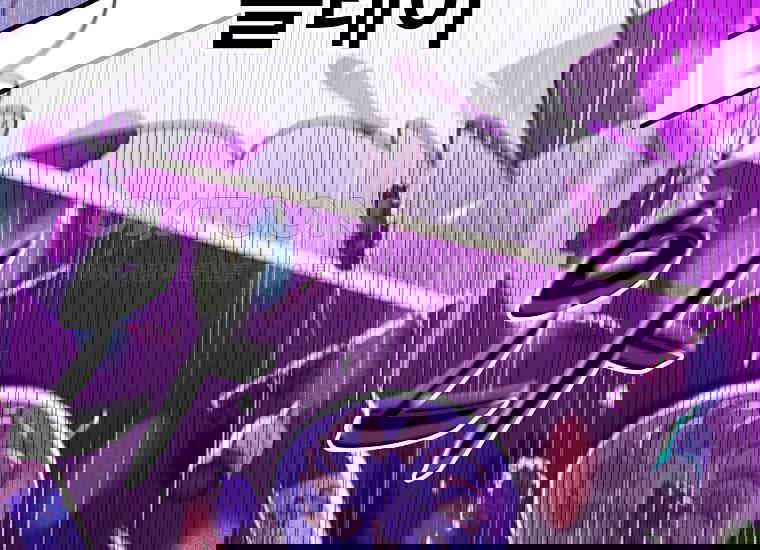 17307477783174dl8g70df8p.jpg