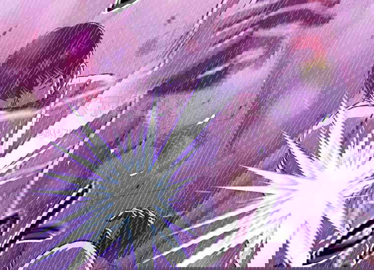 1730747781129bvq4gs9uewb.jpg