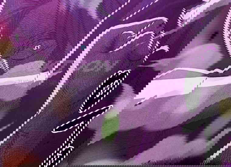 1730747783931dkdfpgzf6x.jpg