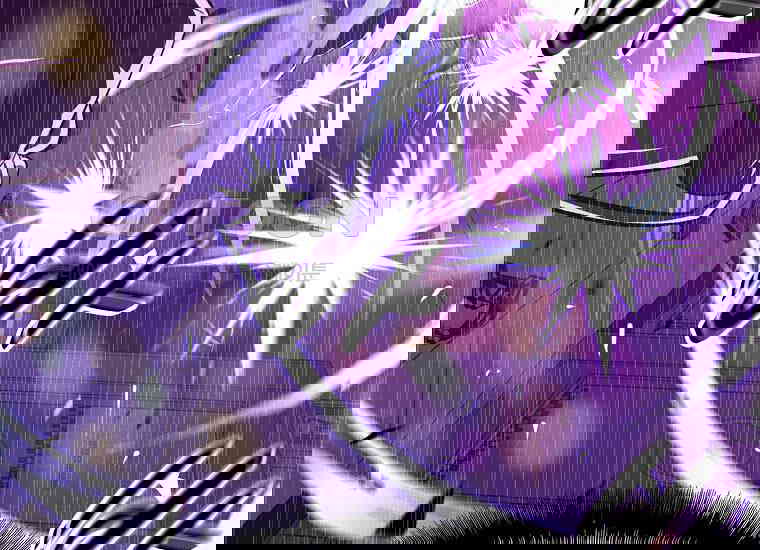 1730747787335sovxd42ilii.jpg