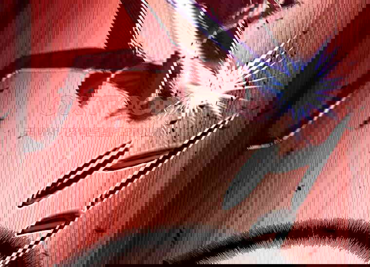 1730747788752uj1rpv3ad4n.jpg