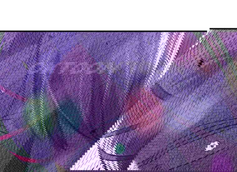 17307477949731bw8thauqnn.jpg
