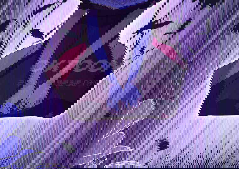 1731097972659ps98wacfse.jpg