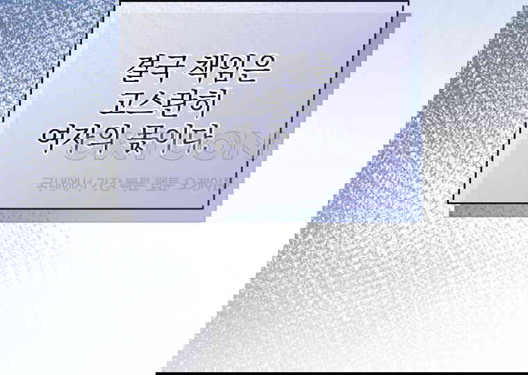 1731097984778l8vtar5wpc.jpg