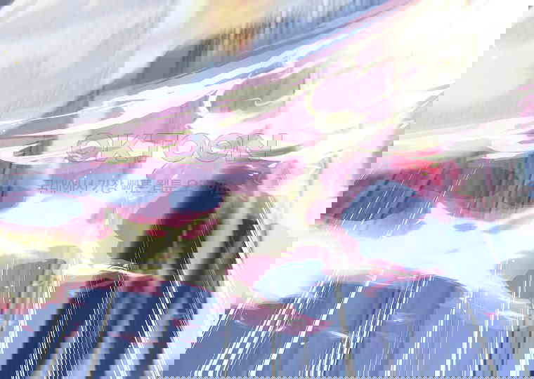 1731097997265tmr36chh4e.jpg