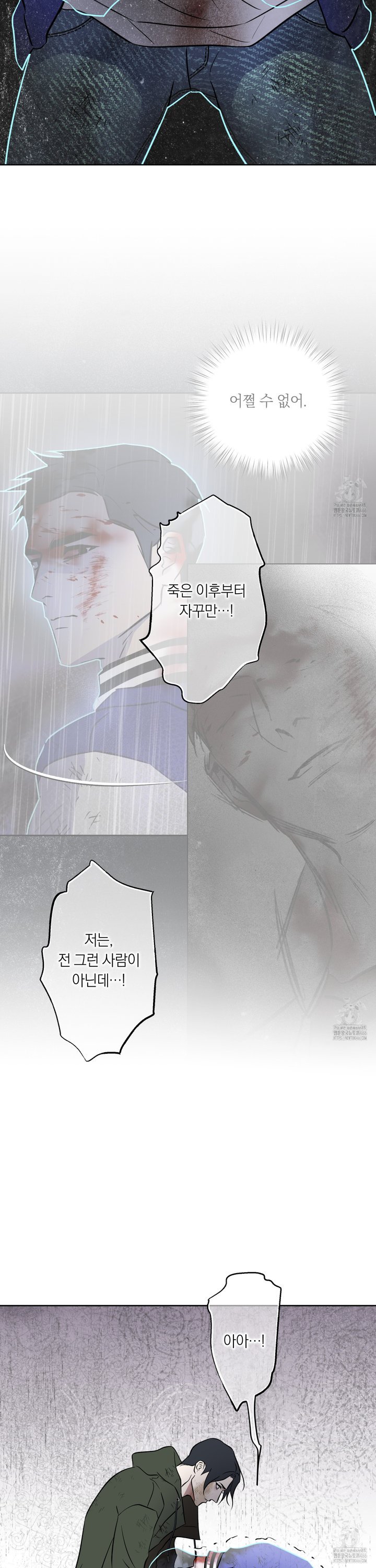 1734047726551lq9qtn4oqo.jpg