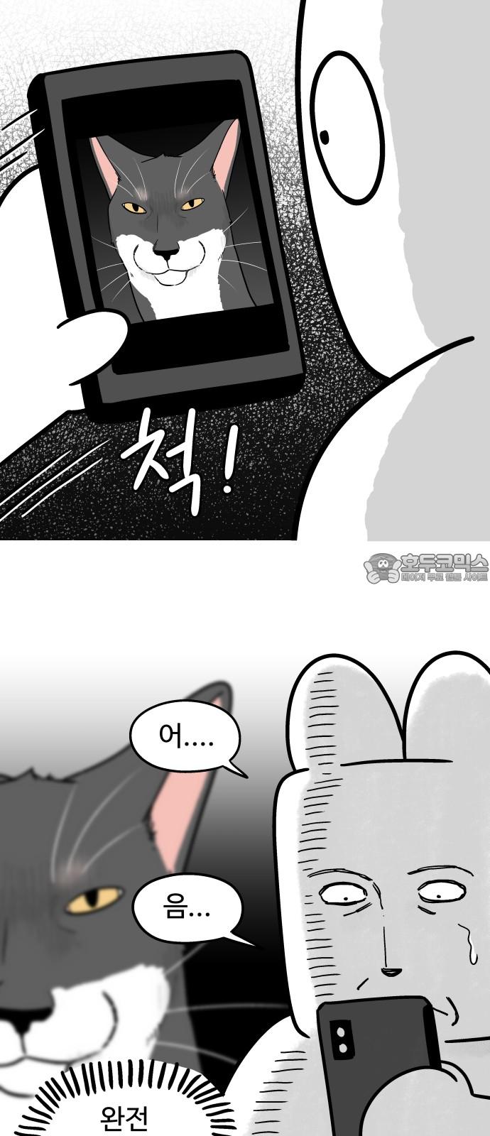 17351940140817889veeyo2u.jpg