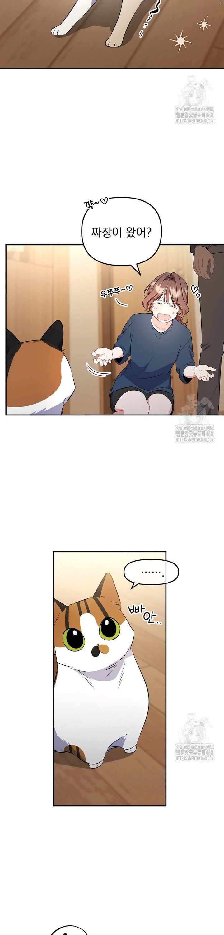1738077965385ei4wy9h0nvc.jpg