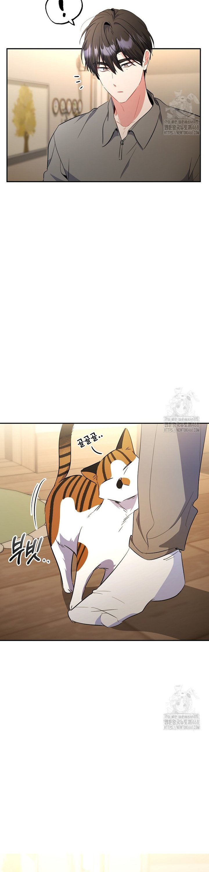 1738077965542ihibe8t1bhe.jpg