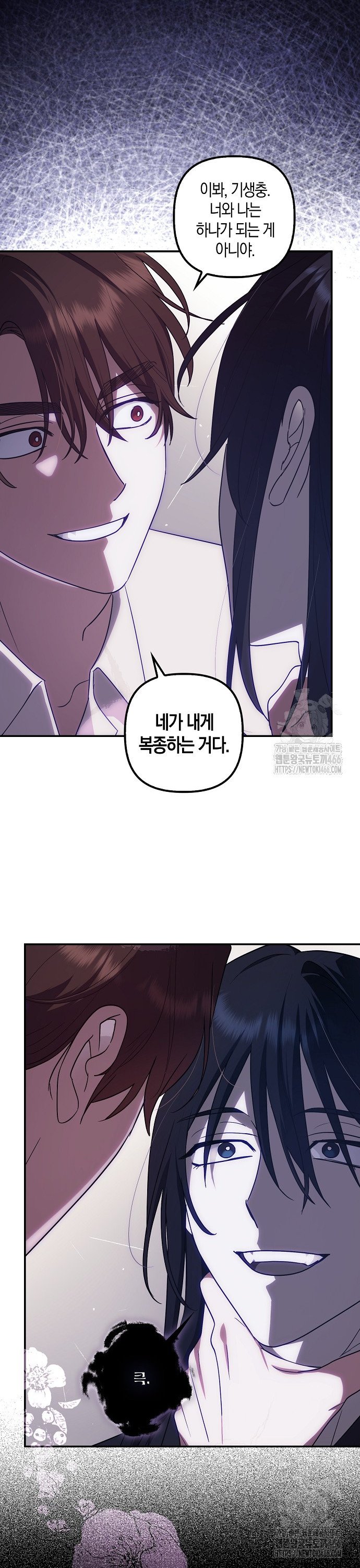 1736114152502kr8gs3elnys.jpg
