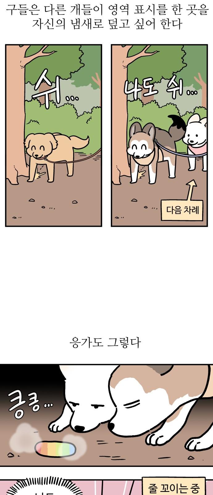 17361122115607y4lpwhi9fh.jpg