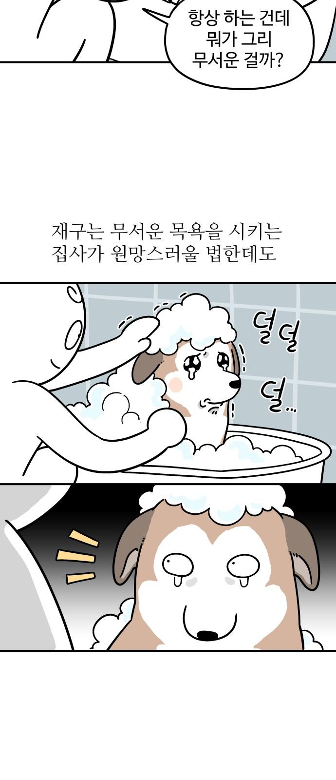 1739136652178o756y7qauys.jpg
