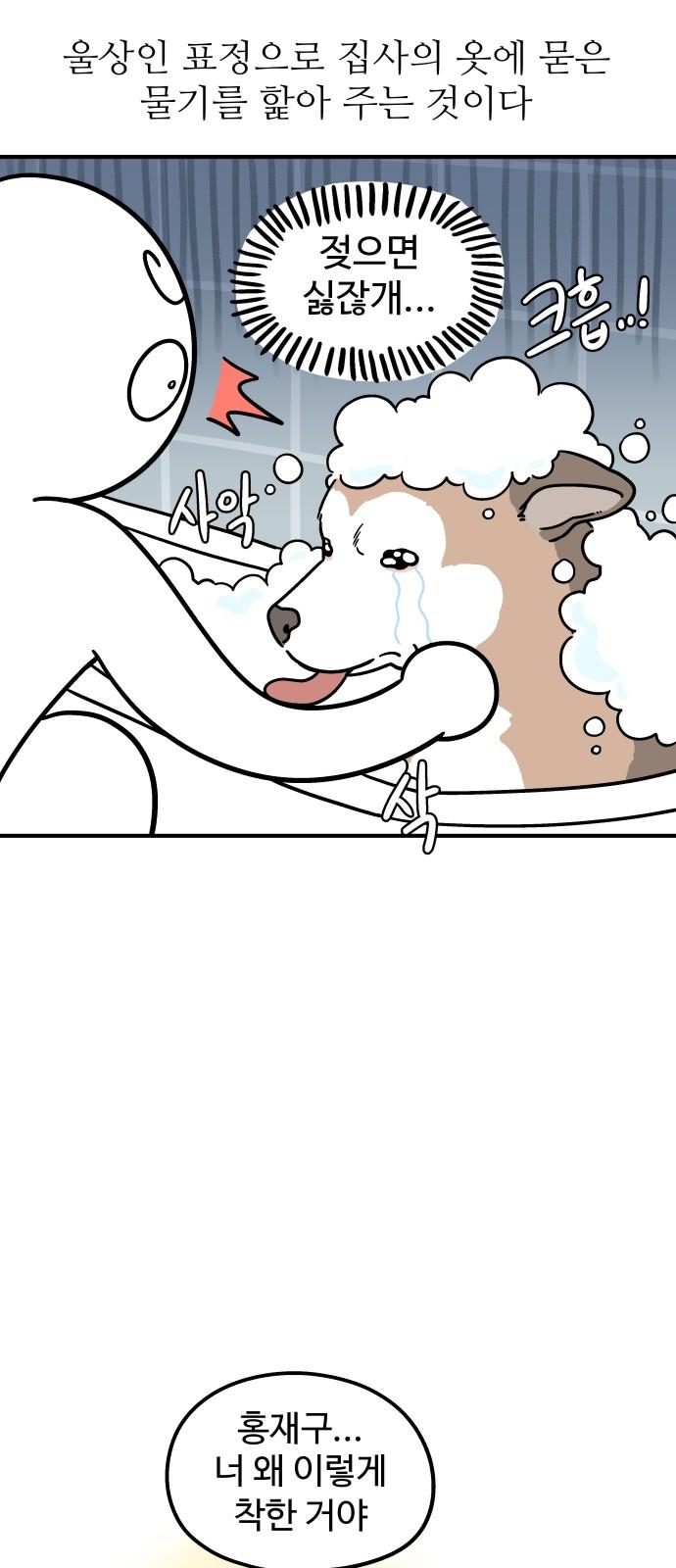 1739136652332u6n2lotsvd.jpg