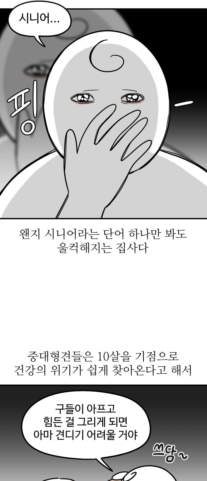 1739136652798s80keupp85h.jpg
