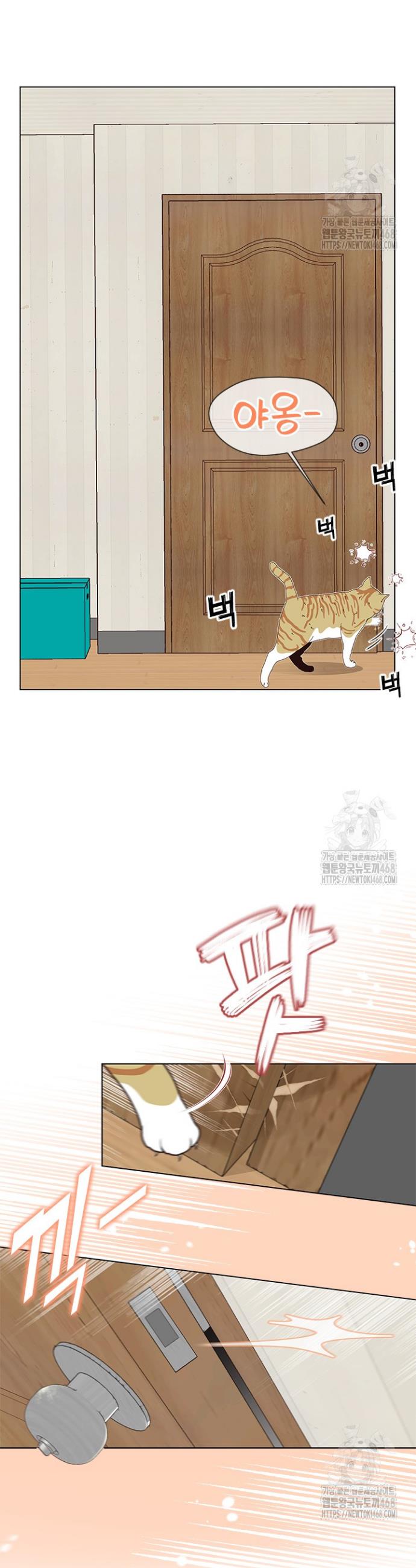 1739581900031yln23epi1bg.jpg