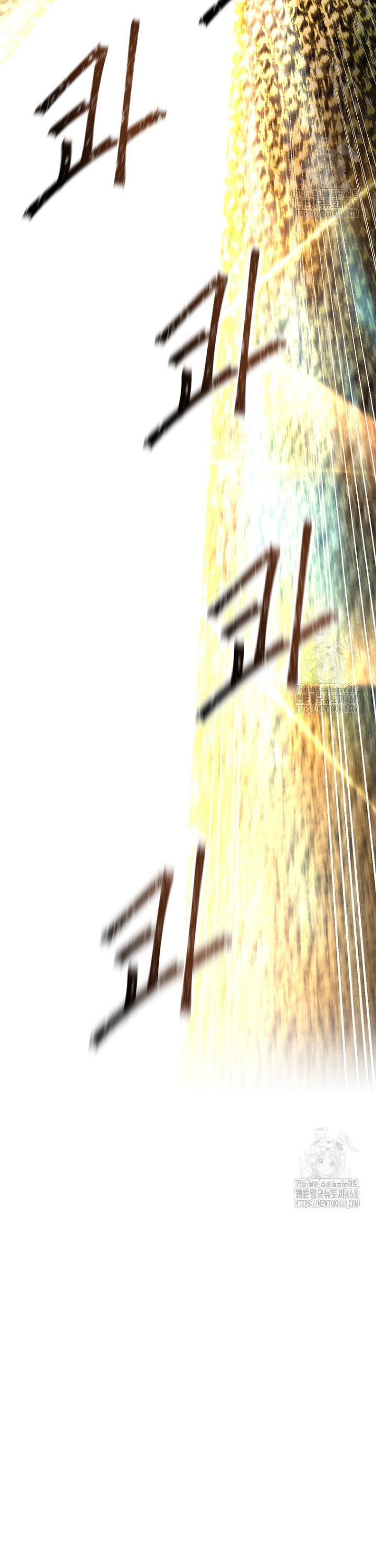 1740264463349zilp8543wo.jpg