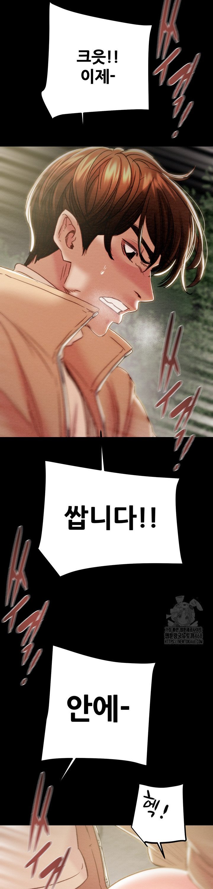 1740716051693nkfrnemsdb.jpg