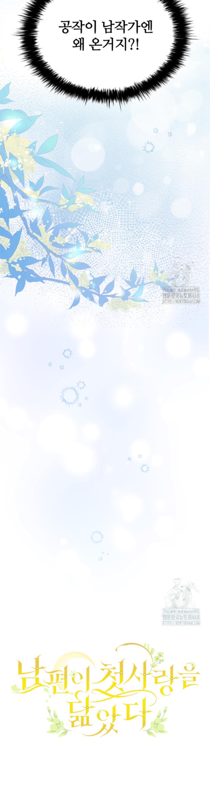 1741903698962cb0x1pb2pxp.jpg