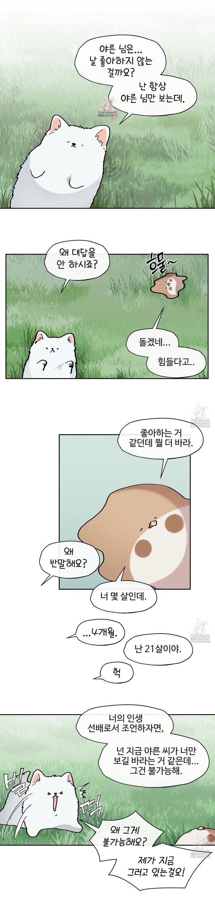 1742429793645jkfy4jej26m.jpg
