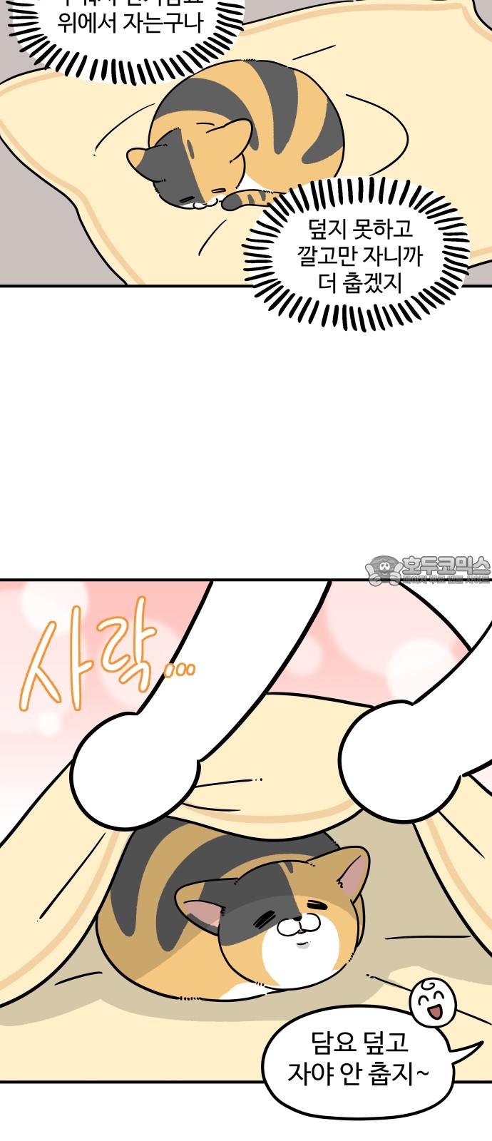 174242985961752xie0ur28a.jpg
