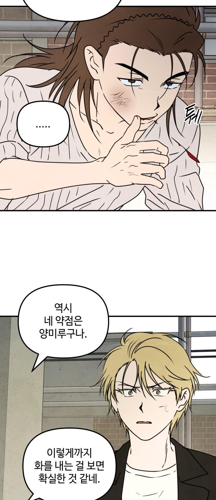 17427738009503km2ao3twd.jpg