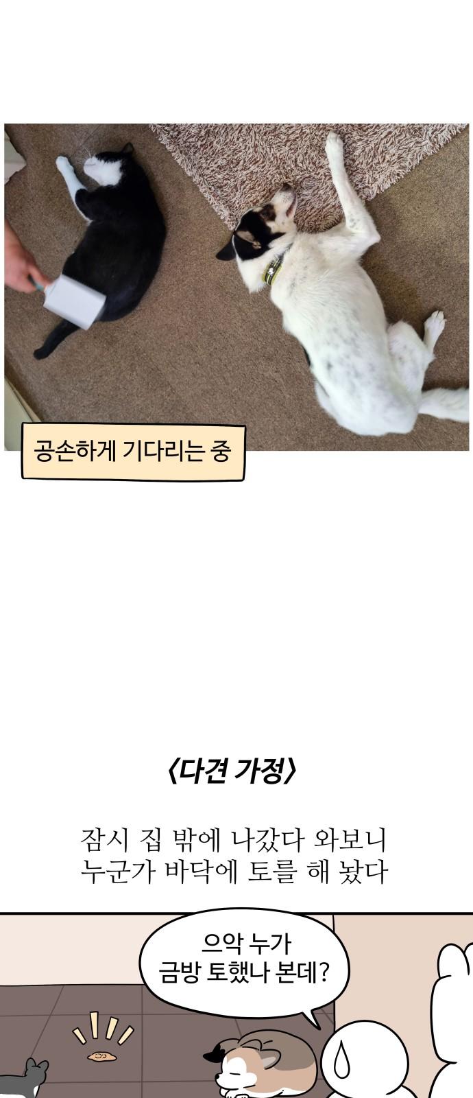 1742773212246ldu078rjynk.jpg