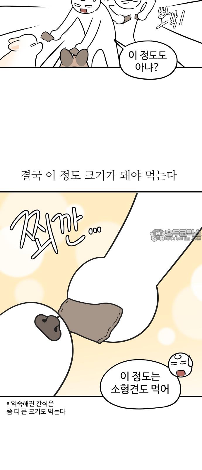 1742773213328yvzu6pl4iu9.jpg