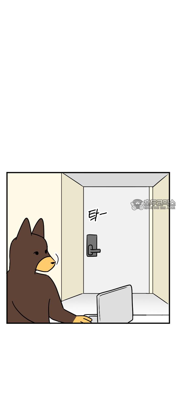 1742773229425y0x4n5fsoxr.jpg
